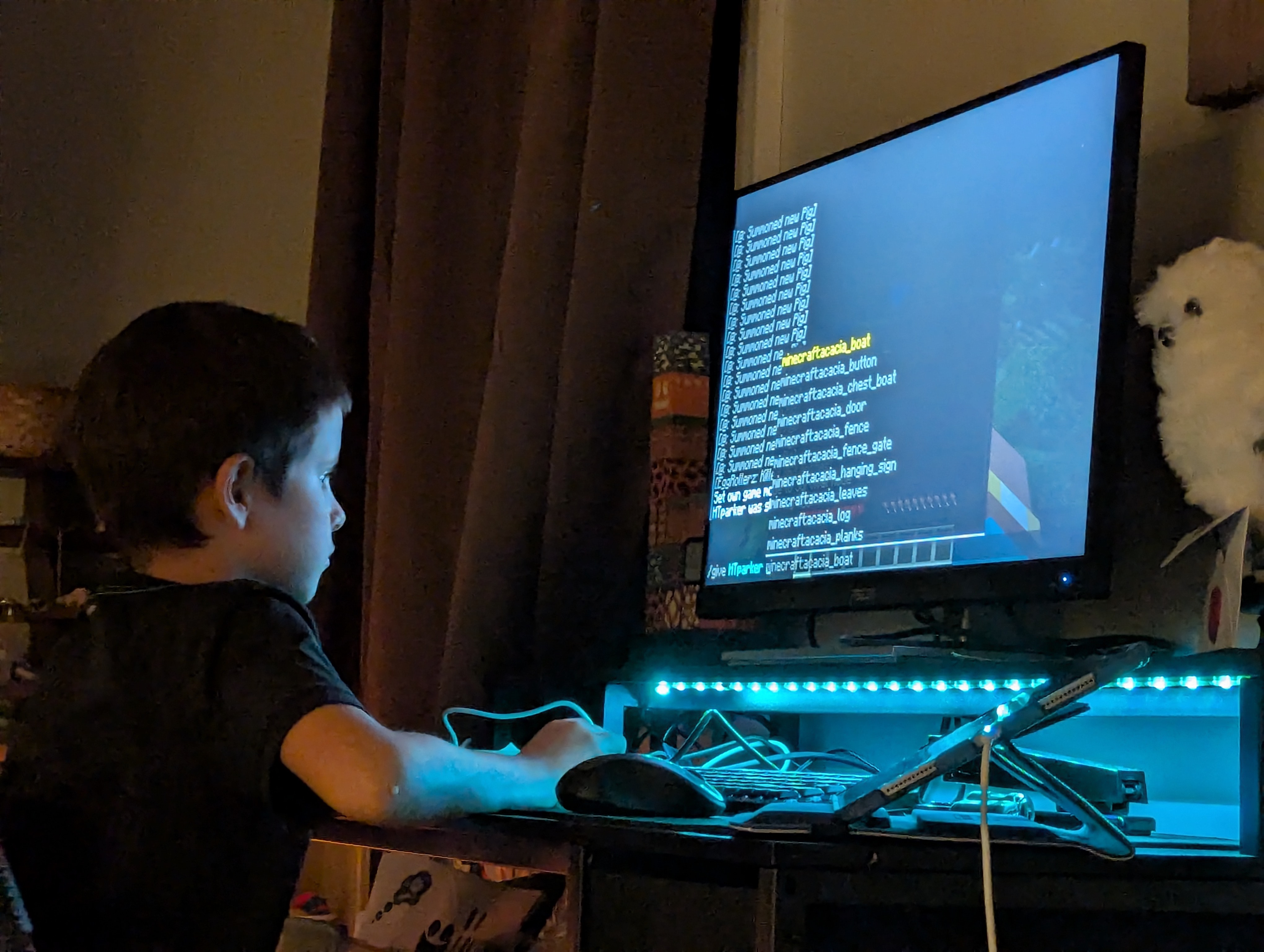 Alex's Minecraft medieval village